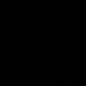 Meet your Posher, Riley